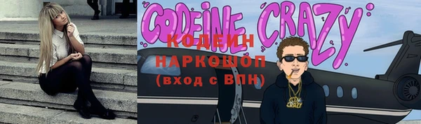 прущий лед Алзамай