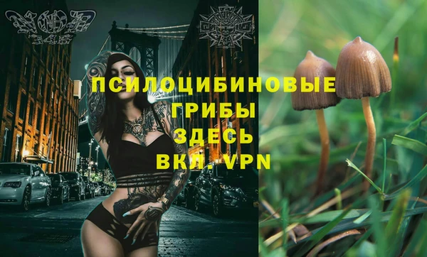 прущий лед Алзамай