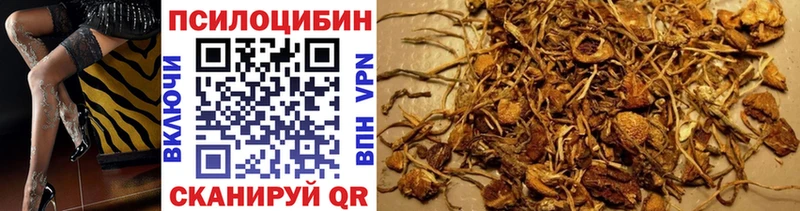 где продают наркотики  Севастополь  Галлюциногенные грибы Cubensis 
