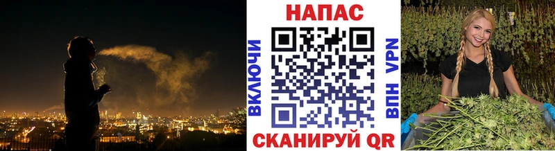 Бошки марихуана сатива Севастополь